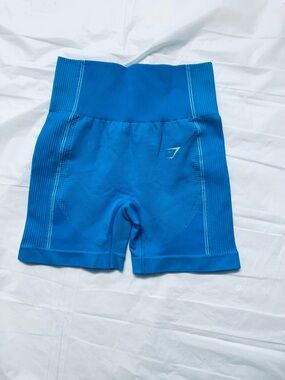 Gymshark Blue Seamless High-Rise Bike Shorts